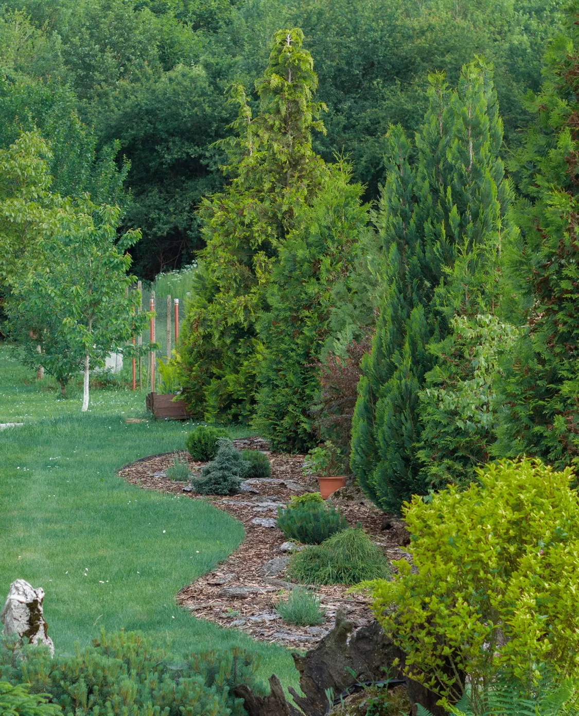 Garden with a mulch border