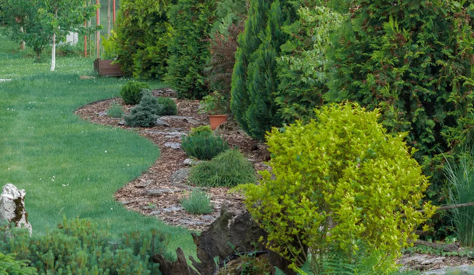 Garden with a mulch border