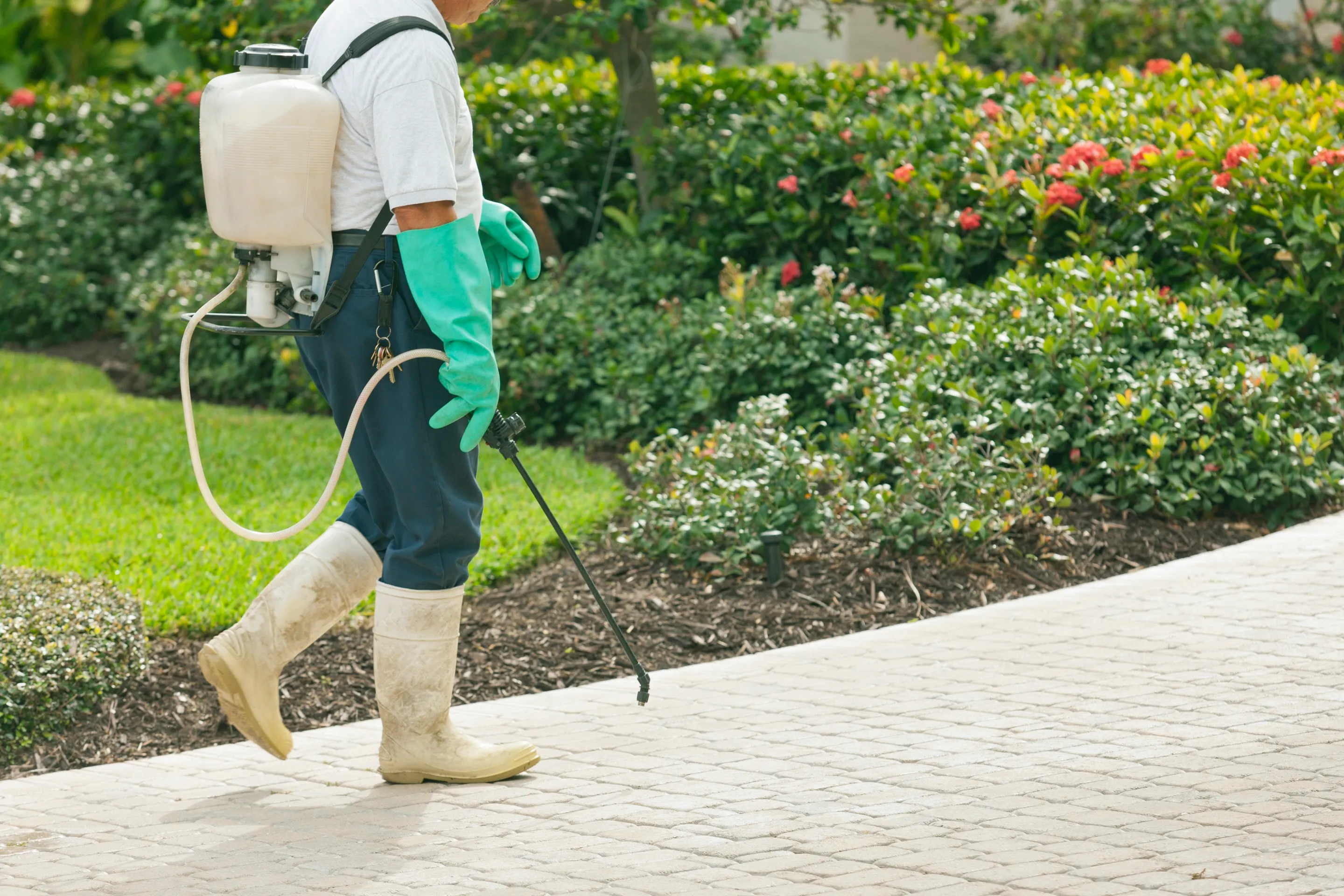 Technician spraying a garden